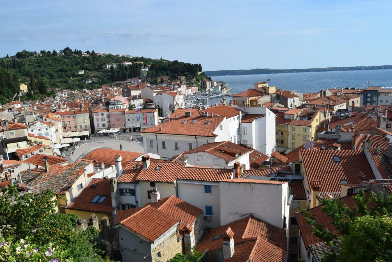 Traditional Piran Studio Luaran gambar